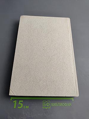 История эстетической мысли. Том второй: Средневековый Восток, Европа XV-XVIII веков