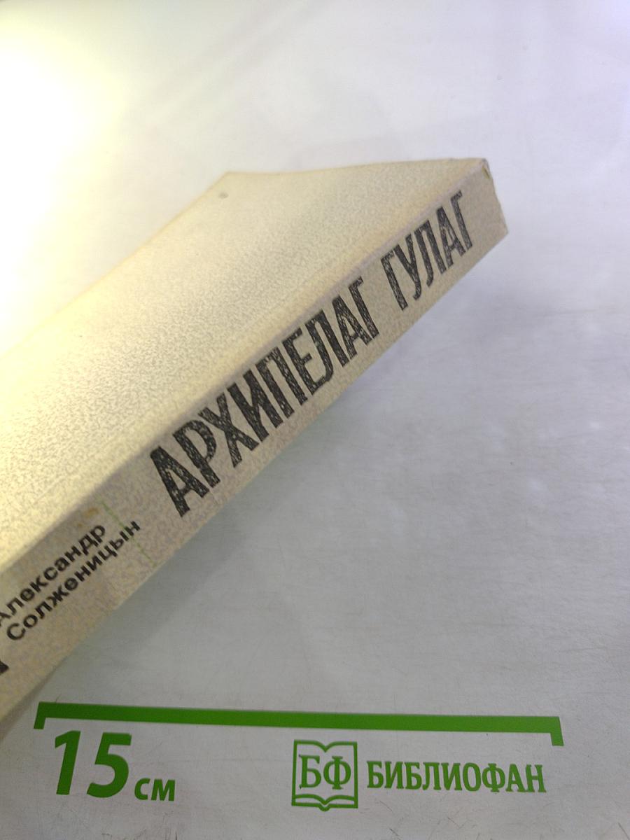 Архипелаг ГУЛАГ 1918–1956. Опыт художественного исследования I–II. Том 5