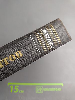 Полное собрание сочинений. Том 2: Поэмы и повести в стихах