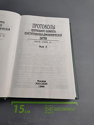 Протоколы Центрального комитета Конституционно-демократической партии. 1915-1920 гг. Том 3