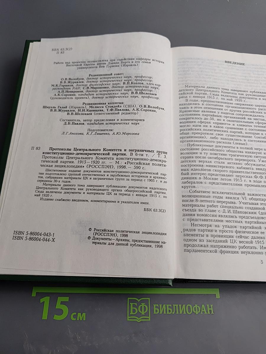 Протоколы Центрального комитета Конституционно-демократической партии. 1915-1920 гг. Том 3