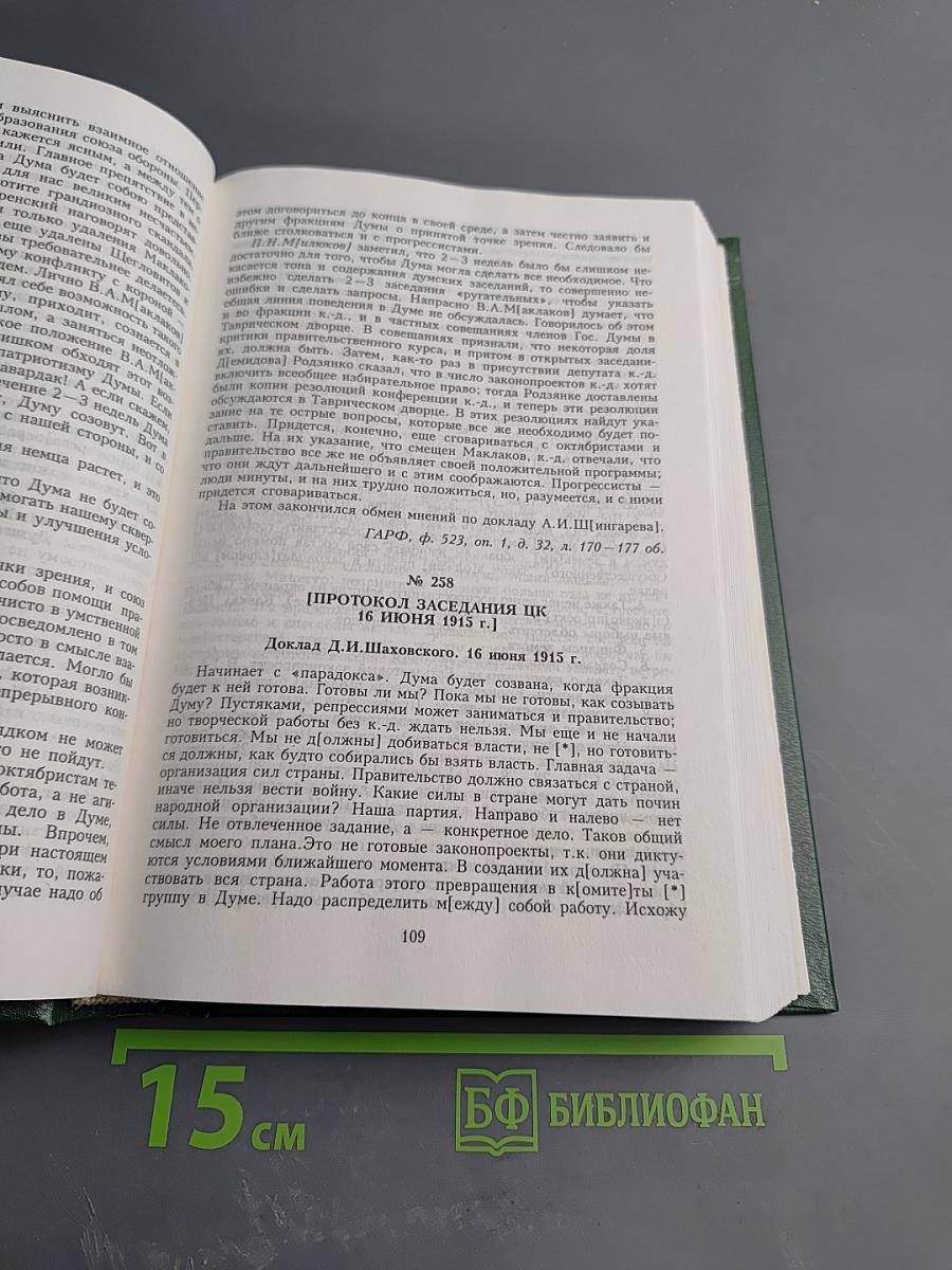 Протоколы Центрального комитета Конституционно-демократической партии. 1915-1920 гг. Том 3