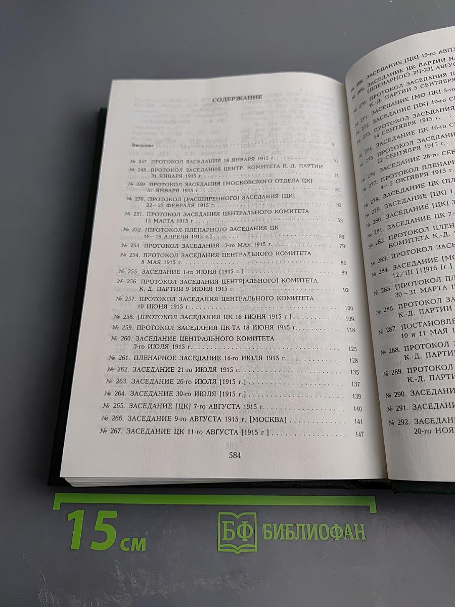 Протоколы Центрального комитета Конституционно-демократической партии. 1915-1920 гг. Том 3