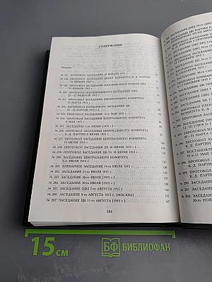 Протоколы Центрального комитета Конституционно-демократической партии. 1915-1920 гг. Том 3