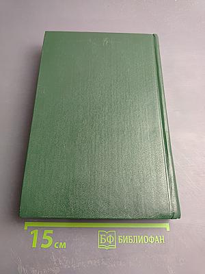 Протоколы Центрального комитета Конституционно-демократической партии. 1915-1920 гг. Том 3