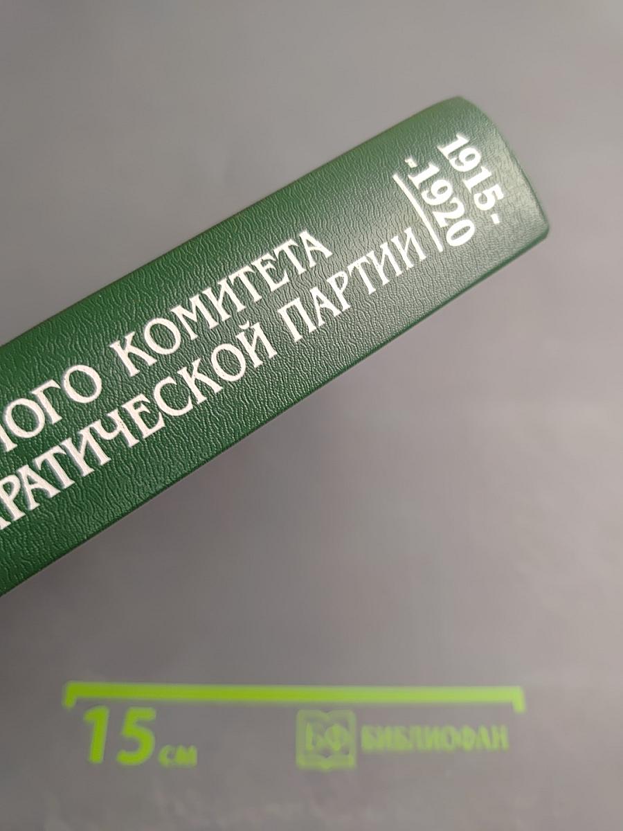 Протоколы Центрального комитета Конституционно-демократической партии. 1915-1920 гг. Том 3
