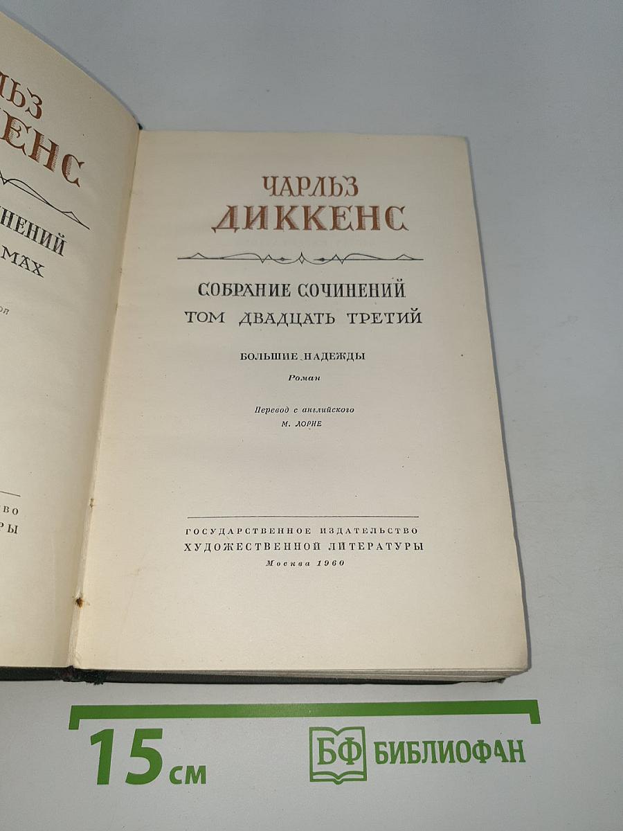 Большие надежды