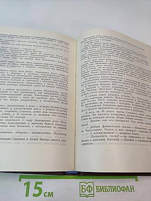 Солдатская слава. Книга пятая