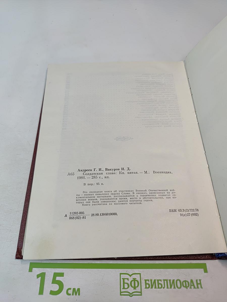 Солдатская слава. Книга пятая