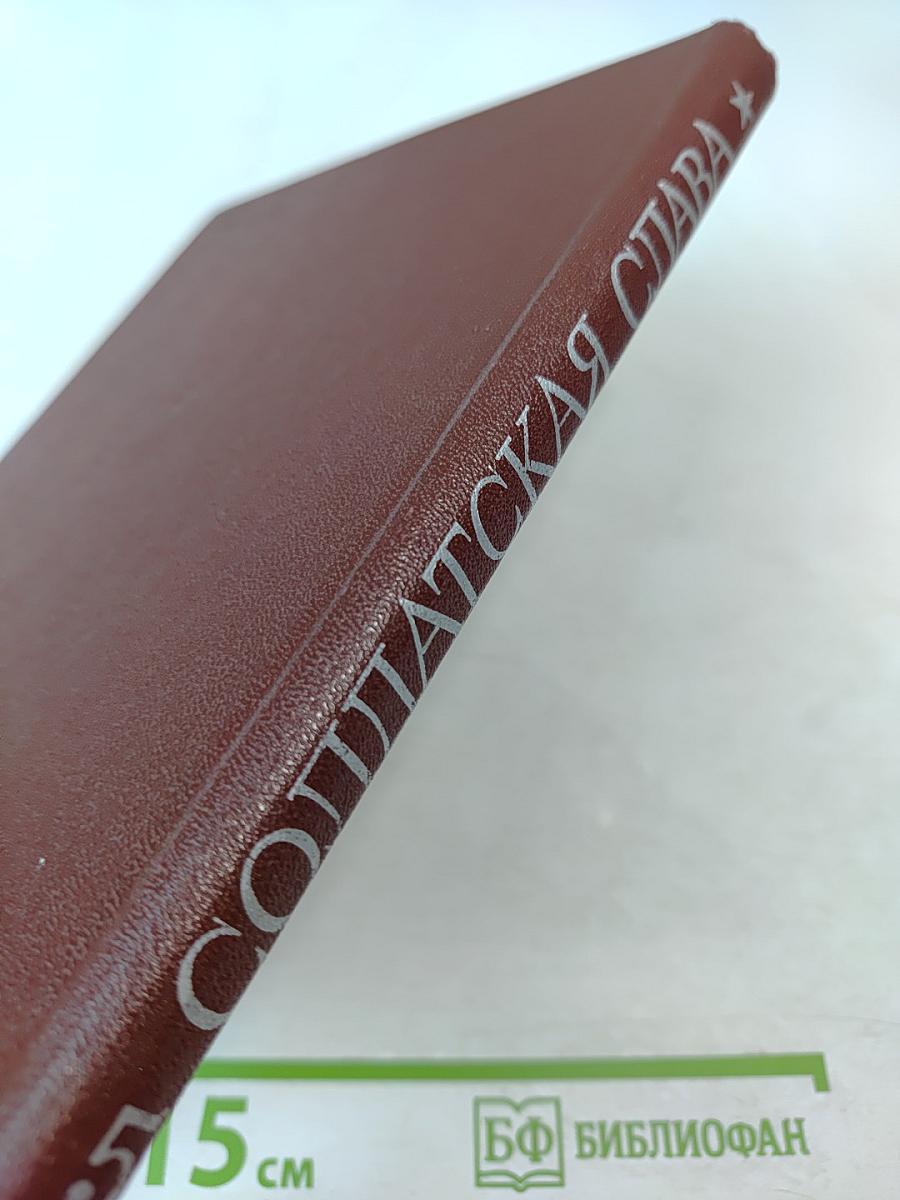 Солдатская слава. Книга пятая