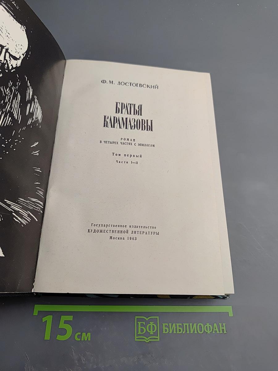 Братья Карамазовы. Том первый части I-II