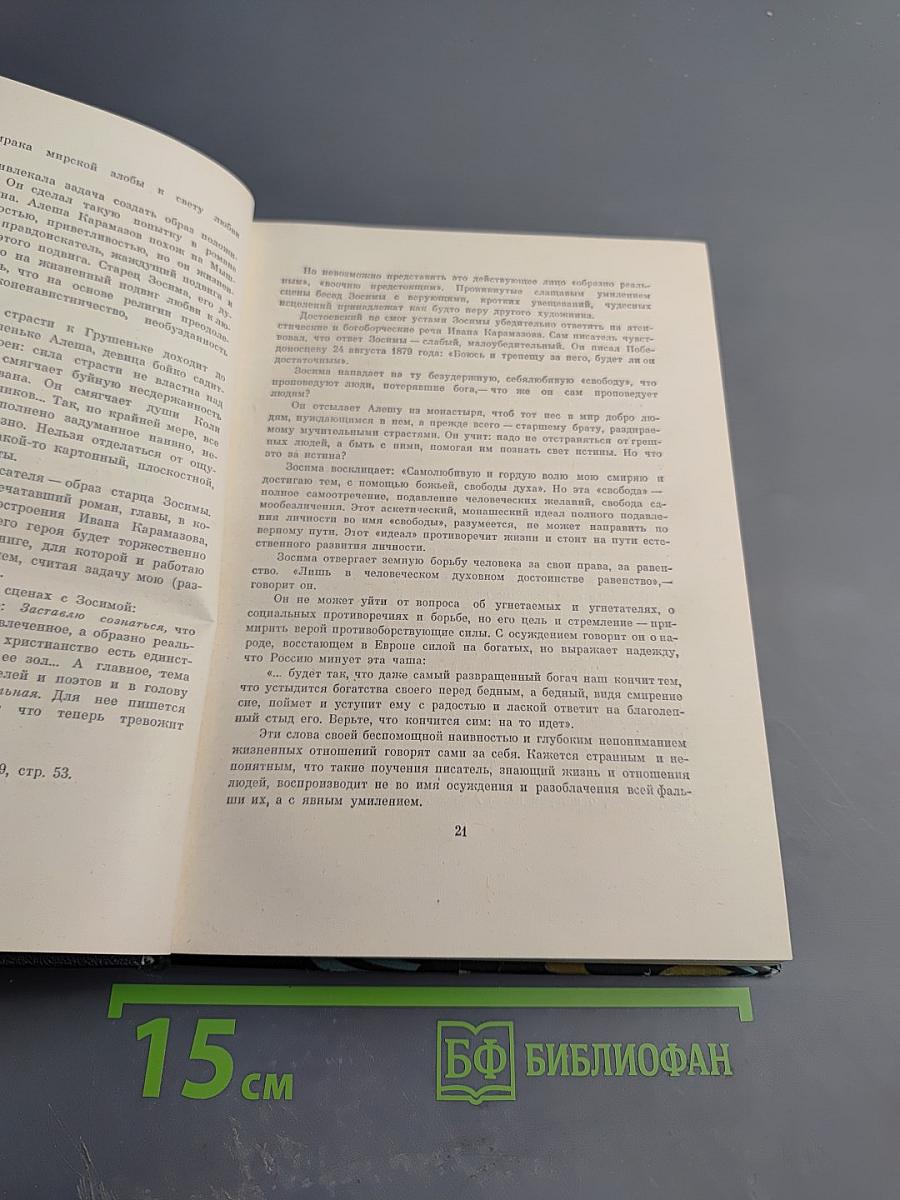 Братья Карамазовы. Том первый части I-II