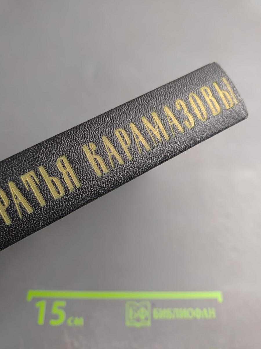 Братья Карамазовы. Том первый части I-II