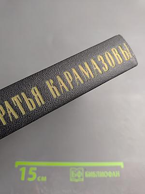 Братья Карамазовы. Том первый части I-II