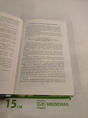 Сумка Гайдара