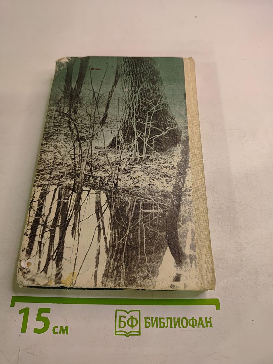 Сумка Гайдара