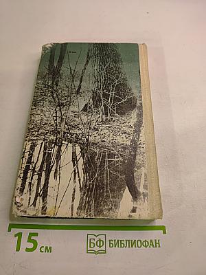 Сумка Гайдара