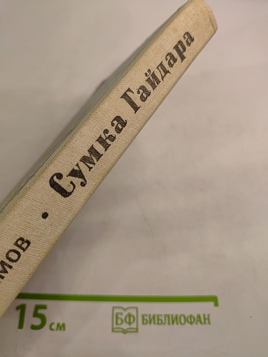 Сумка Гайдара