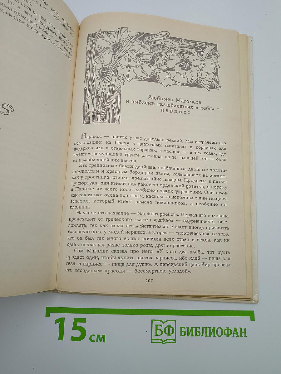 Цветы в легендах и преданиях