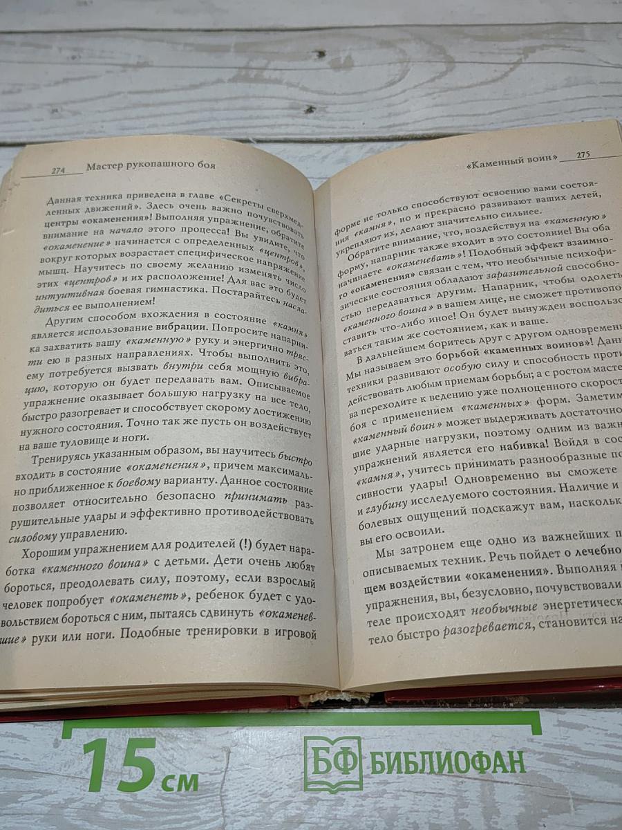 Мастер рукопашного боя. Школа адекватного реагирования