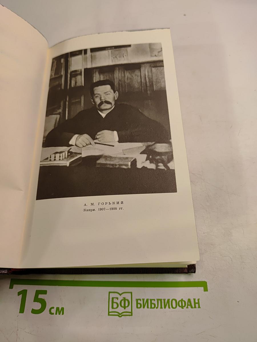 Собрание сочинений. Том 13: Пьесы. Сцены, наброски. 1907-1917