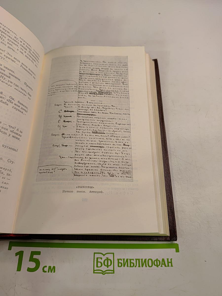 Собрание сочинений. Том 13: Пьесы. Сцены, наброски. 1907-1917