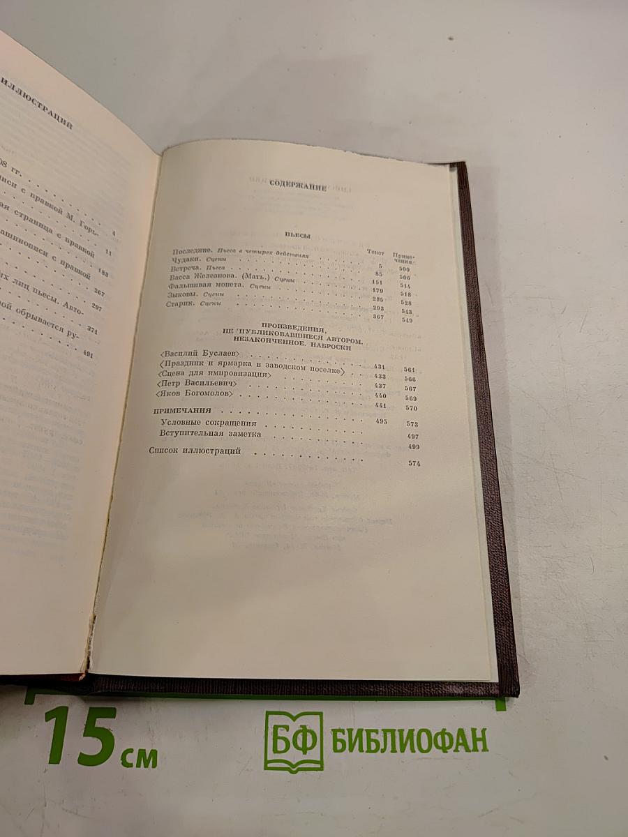Собрание сочинений. Том 13: Пьесы. Сцены, наброски. 1907-1917
