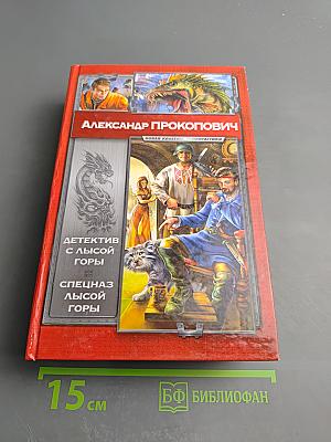 Детектив с Лысой Горы. Спецназ Лысой Горы