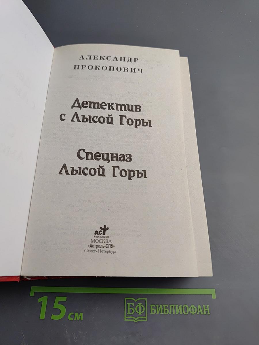 Детектив с Лысой Горы. Спецназ Лысой Горы