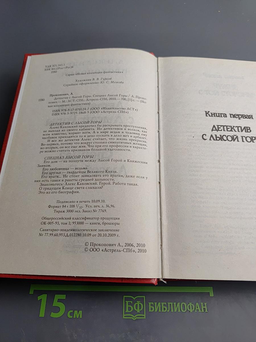Детектив с Лысой Горы. Спецназ Лысой Горы