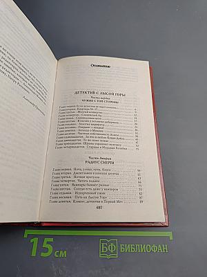 Детектив с Лысой Горы. Спецназ Лысой Горы
