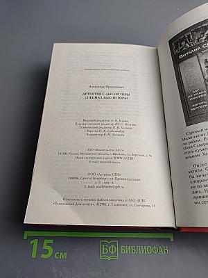 Детектив с Лысой Горы. Спецназ Лысой Горы