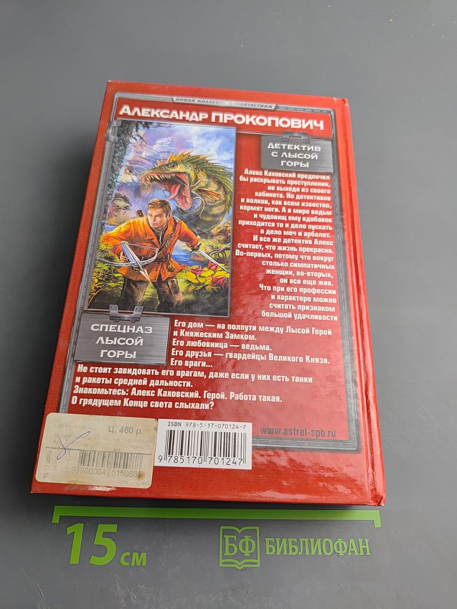 Детектив с Лысой Горы. Спецназ Лысой Горы