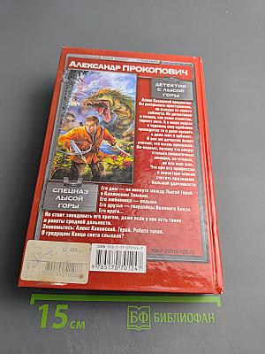 Детектив с Лысой Горы. Спецназ Лысой Горы