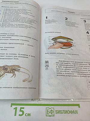 Биология. Многообразие живых организмов. 7 класс