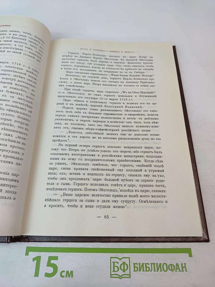 Царица Прасковья. 1664-1723. Очерк из русской истории XVIII века