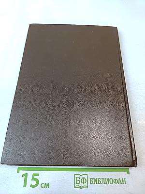 Царица Прасковья. 1664-1723. Очерк из русской истории XVIII века