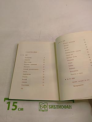 Стихи последних лет