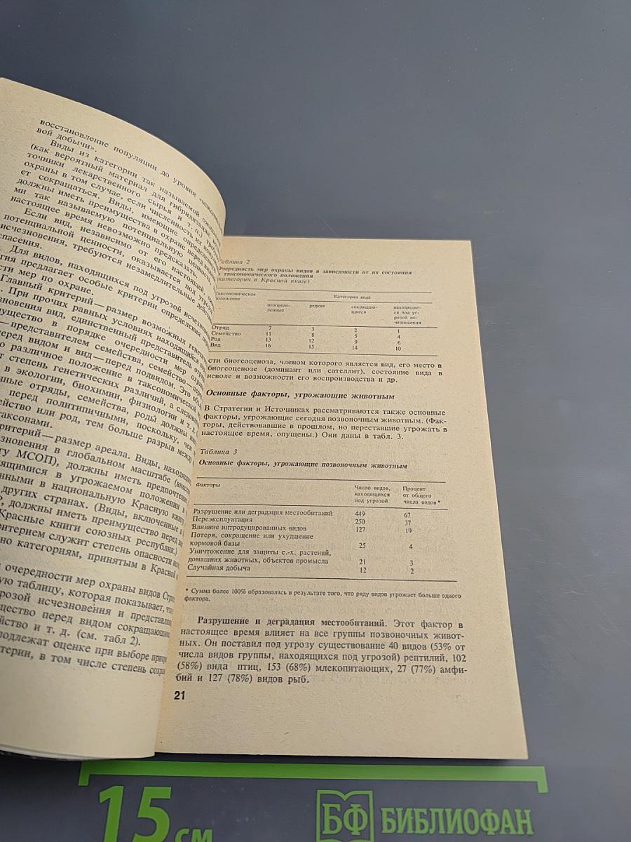 Мы должны их спасти