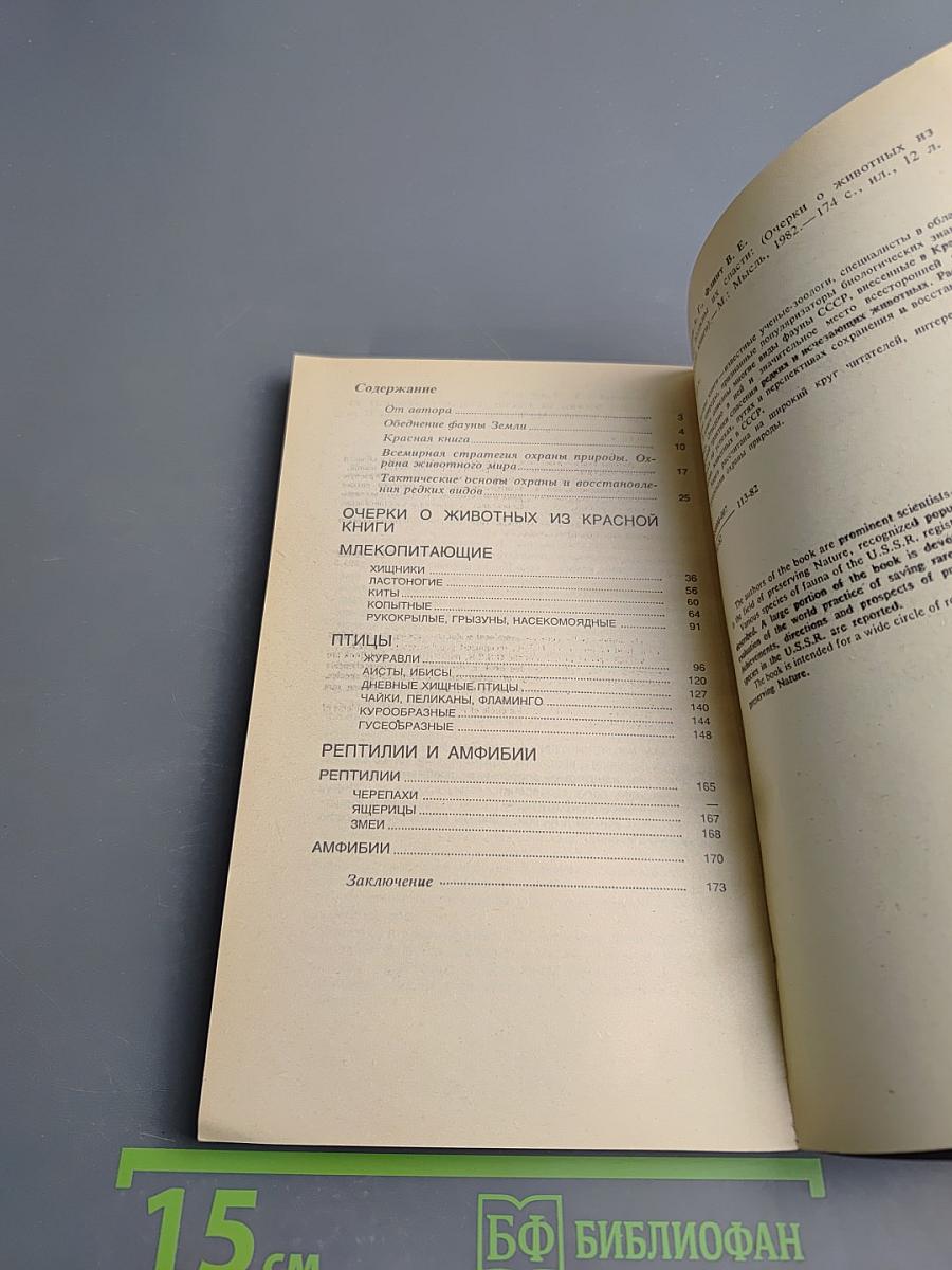 Мы должны их спасти