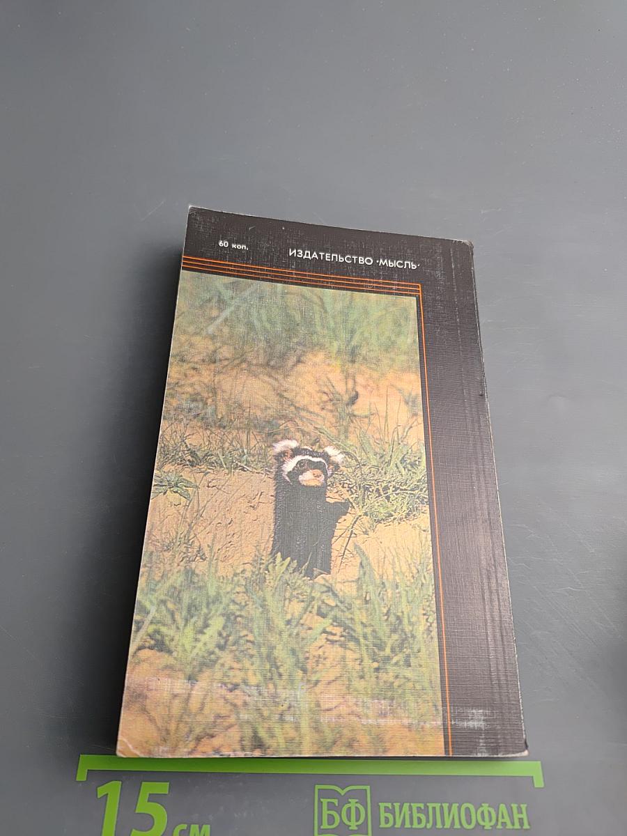 Мы должны их спасти