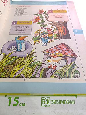 Грамматика в картинках