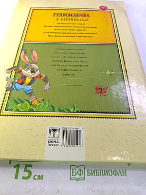 Грамматика в картинках