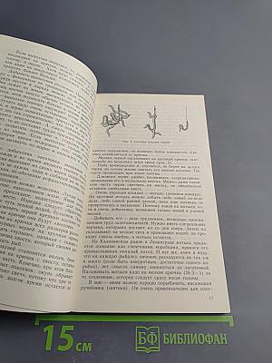 Наедине с зарею. Записки рыболова