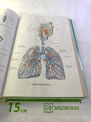 Энциклопедия народной медицины