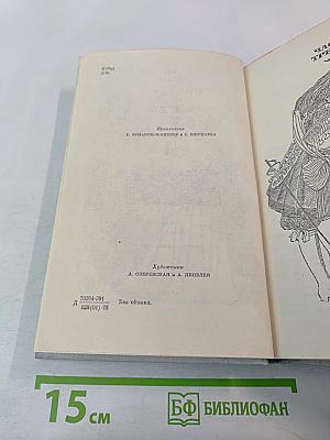 Виконт де Бражелон или Десять лет спустя. Части 3, 4 (Том II)