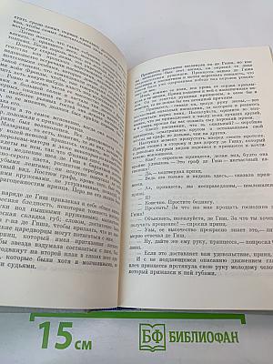 Виконт де Бражелон или Десять лет спустя. Части 3, 4 (Том II)