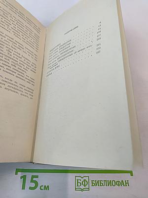 Вечерний день