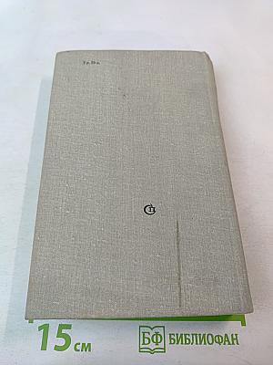 Вечерний день