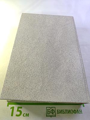 Окрыленные временем. Рассказ 1920-х годов